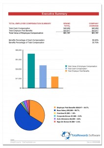 TotalRewards Executive Summary example