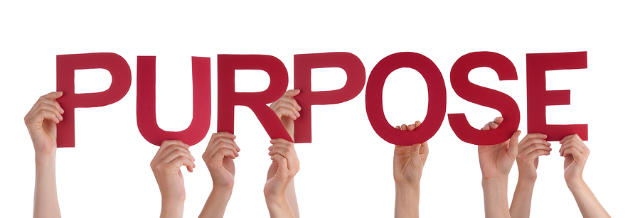 Many People Hands Holding Red Straight Word Purpose